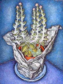 Cactus by Alfred Janes