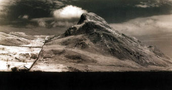 GO TO Ron Davies Gallery Page